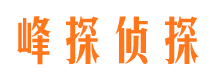 宁陕市婚外情调查